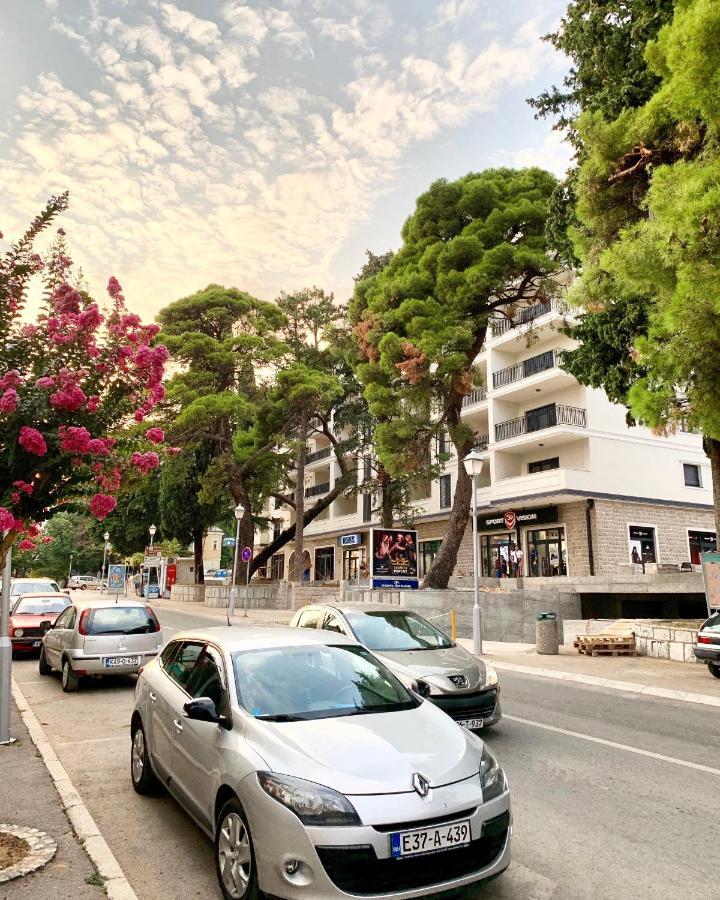 Soho Apartman Τρέμπινιε Εξωτερικό φωτογραφία